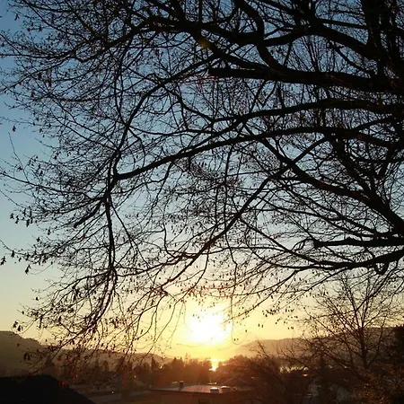 Fiala-koefer *