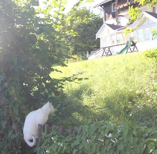 Fiala-kofer Apartment